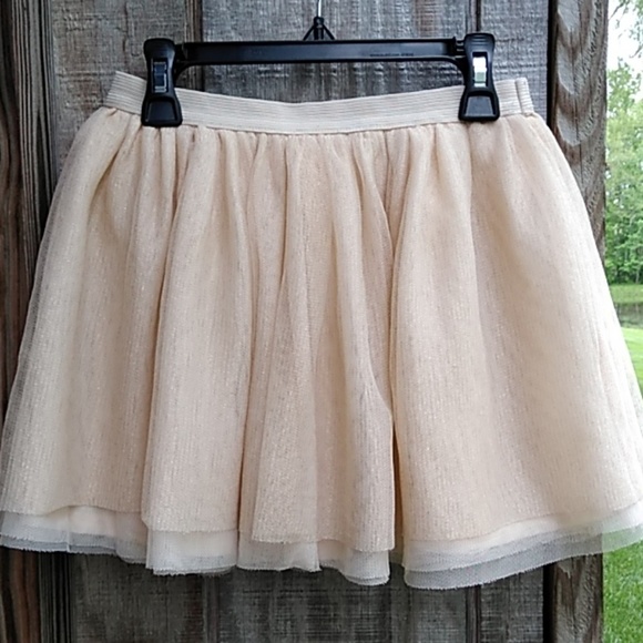 Gymboree Gold Tulle Skirt - Picture 1 of 3